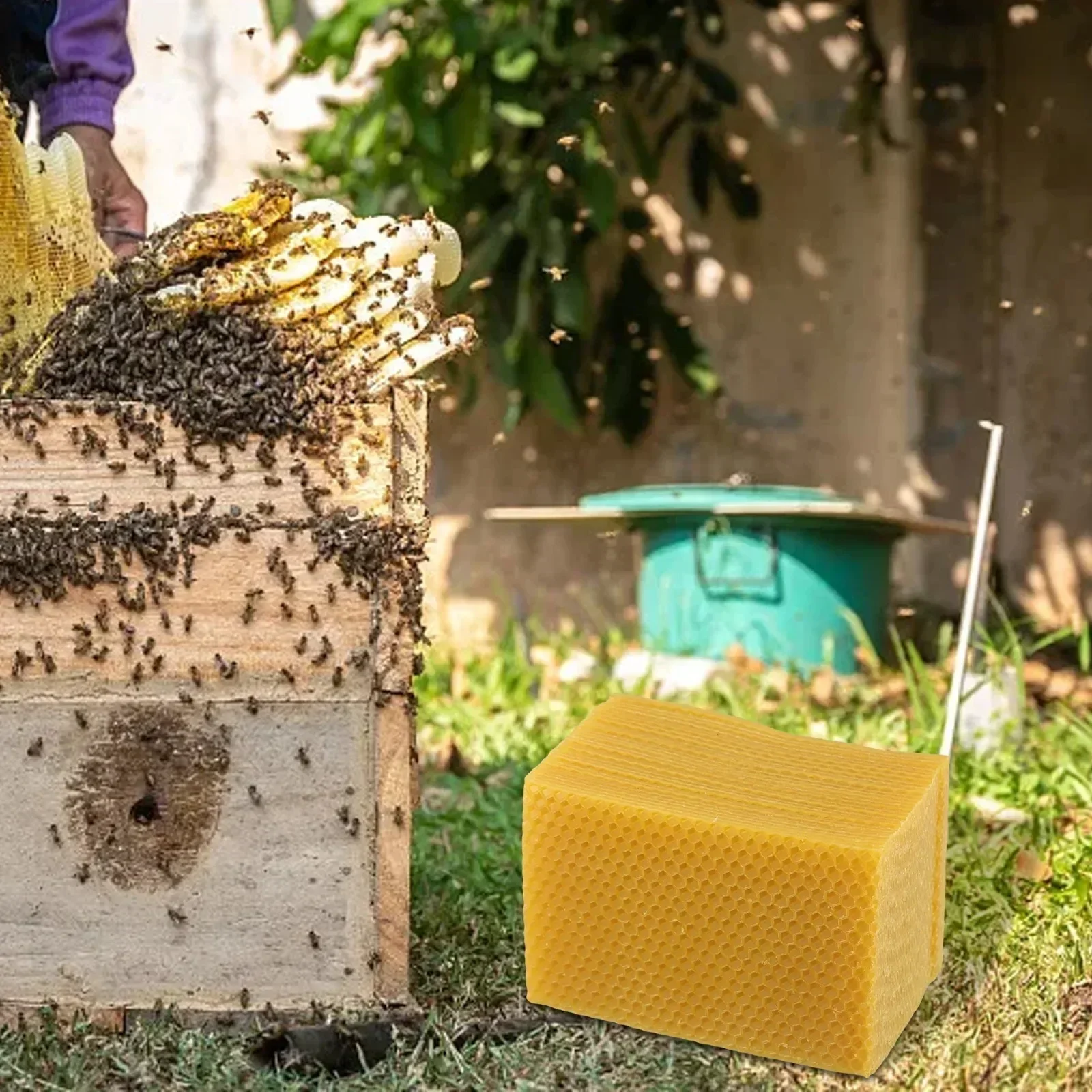Beehive Supplies Beehive Found - đánh giá và giá Candle Making With Beeswax
